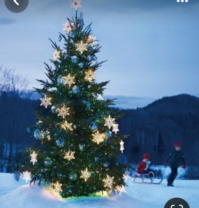 Screenshot_20231118_195718_Pinterest