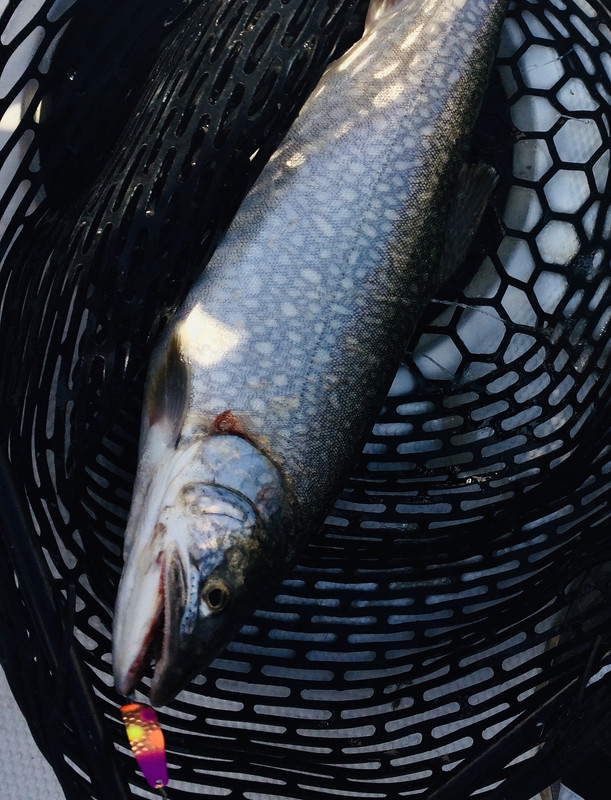 1F4C49DC-B665-442B-8883-C964A2EE2B30