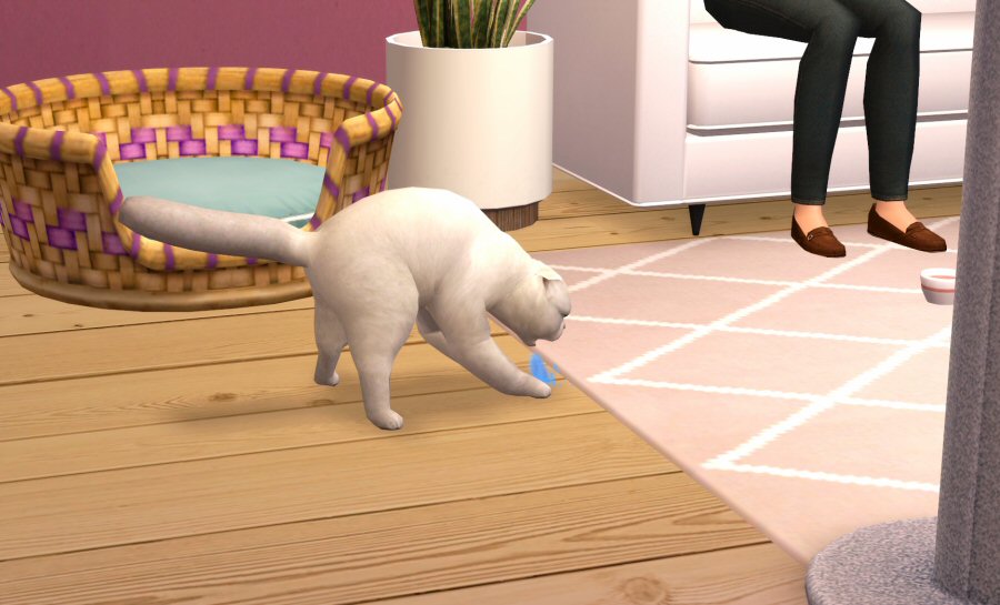 Sims2-EP9-RPC-2021-04-03-14-16-32-85