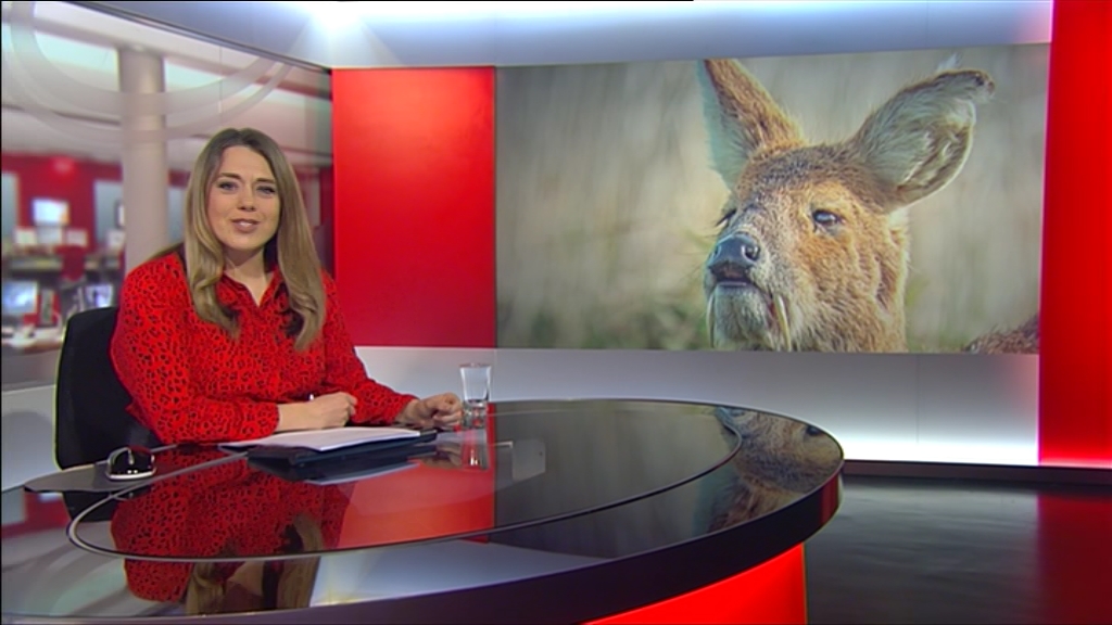 01.12 - 18.30.00 - This Is BBC One HD. Please switch over to BBC One.ts_snapshot_24.47.846