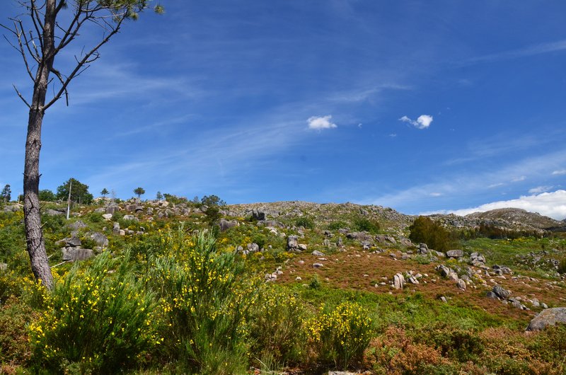 PARQUE NATURAL BAXIA LIMIA-SERRA DO XURÉS-28-5-2024 - Galicia y sus pueblos - 2017/2024 (3)