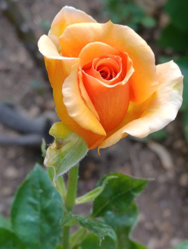 IMG_20250614_181933