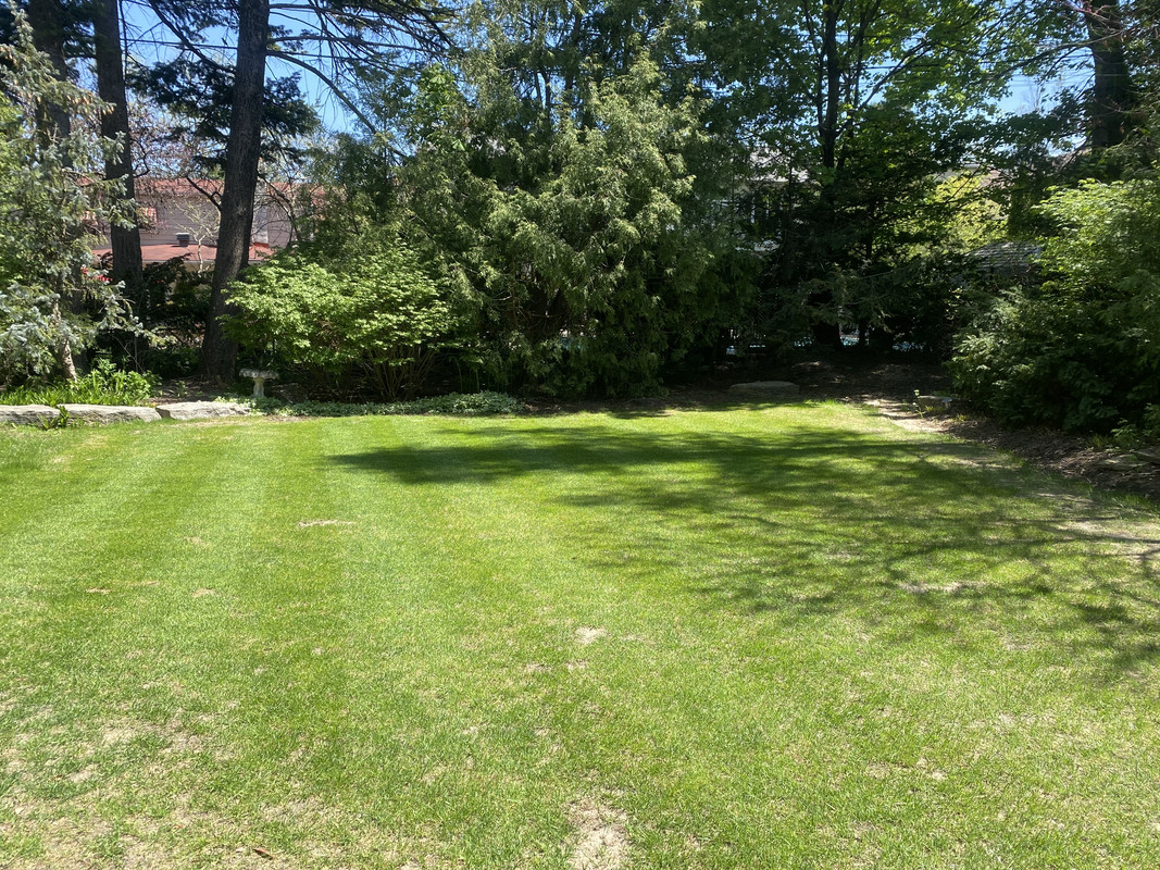 6AF8ECF3-86F1-4DCD-8983-6B755922C863