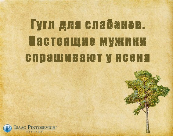 https://i.postimg.cc/hGKB1P5H/10455088-566320120169210-8368213224532602167-n.jpg