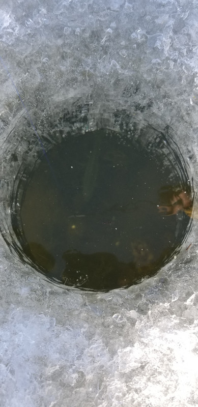 20190326_090637