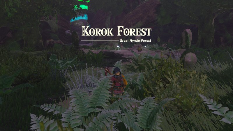 Korok Forest