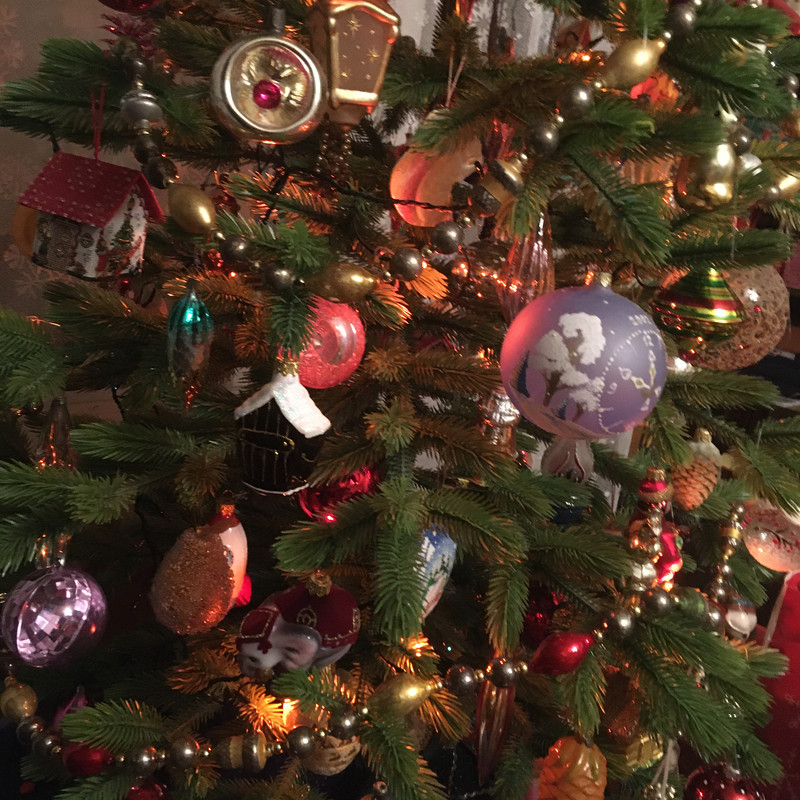 новогоднее с айфона январь 2025 056