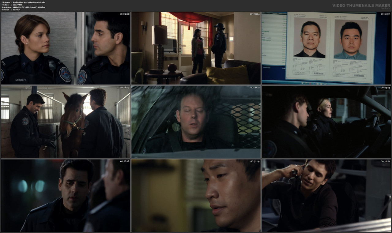 Rookie Blue S02E09 Brotherhood.mkv