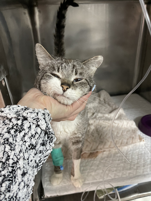 D15A946B-6D18-4CBD-A1C2-4F887CD59D24