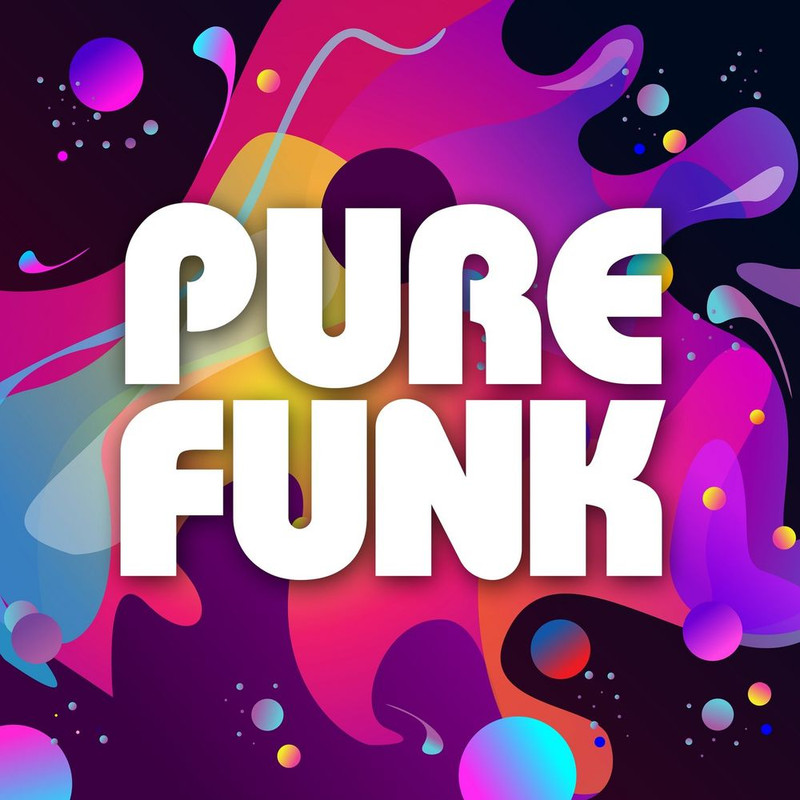 VA - Pure Funk (2019) .mp3 -320 Kbps
