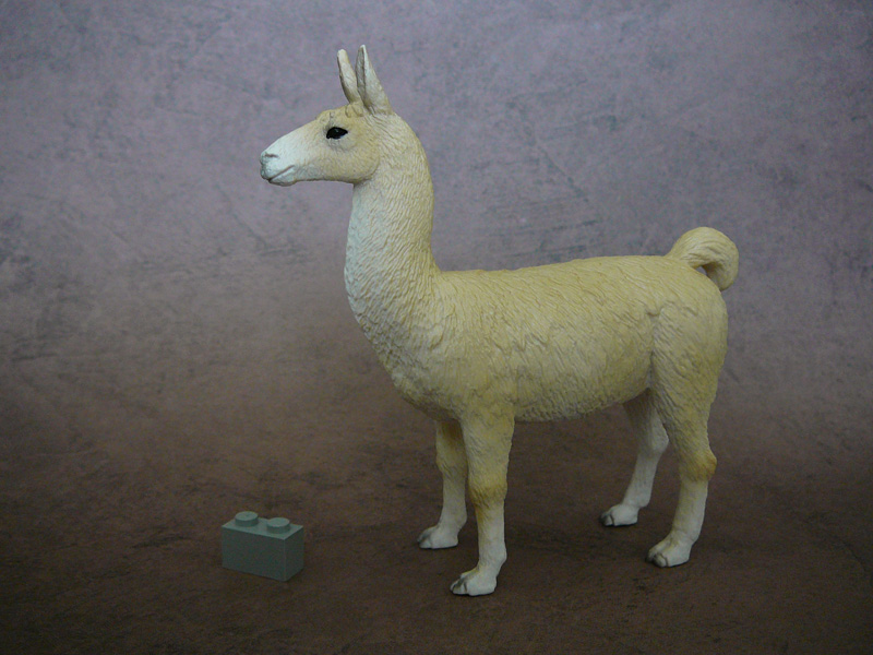 Mojö 2019 Llama and Cria- a walkaround by A.R.Garcia P1090597ed