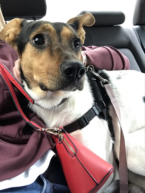 5AAEA54E-FDE1-4283-9B5E-1467167484E8