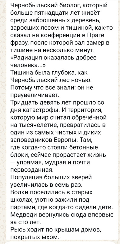 30 ноября 2025 Прислали Whats App еле живой