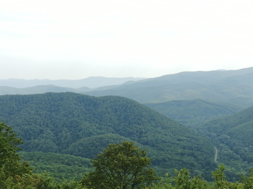 IMG_20200707_160802