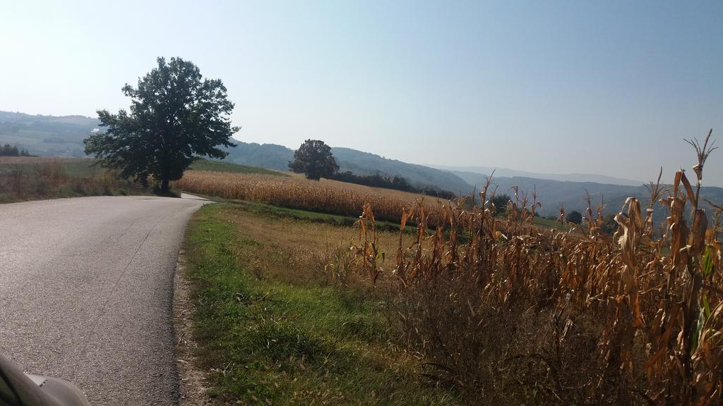 Slika