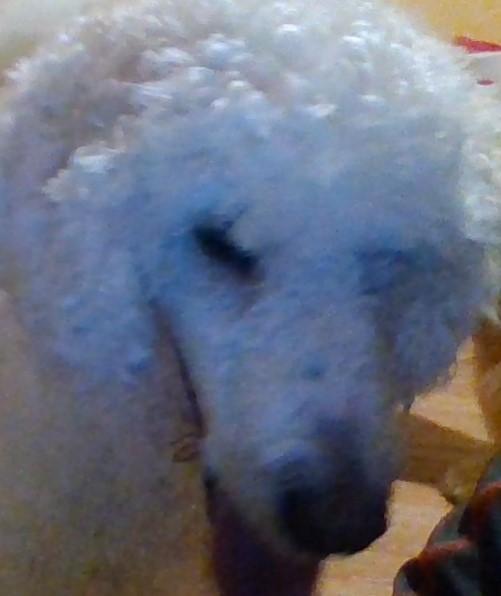 WIN_20230920_07_01_33_Pro (2)