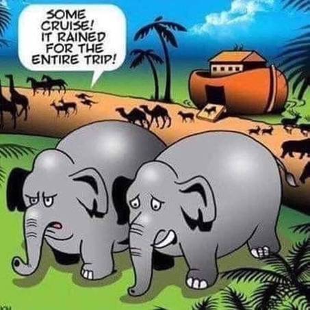 ArkElephants