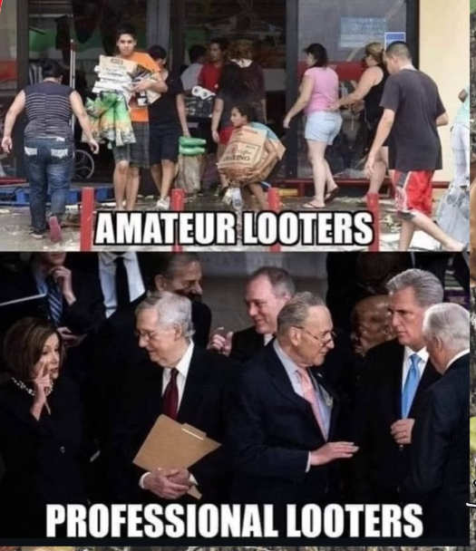 amateur-looters-professional-congress-pelosi-mcconnell-schumer.jpg