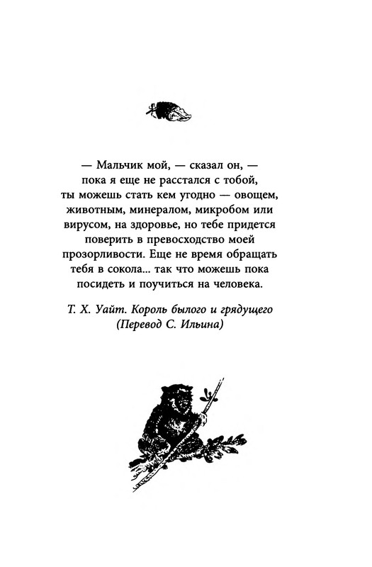 p0008