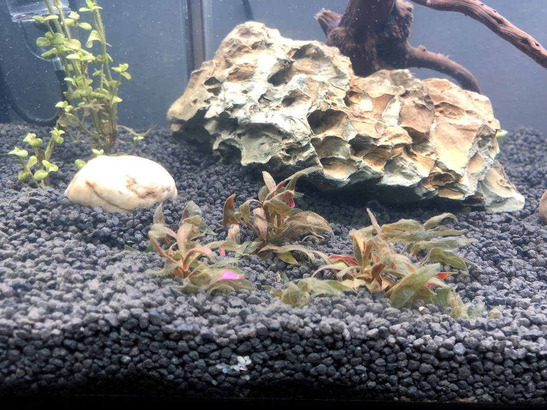 773C9474-5CDA-4DEF-81B9-389C04F4F61D