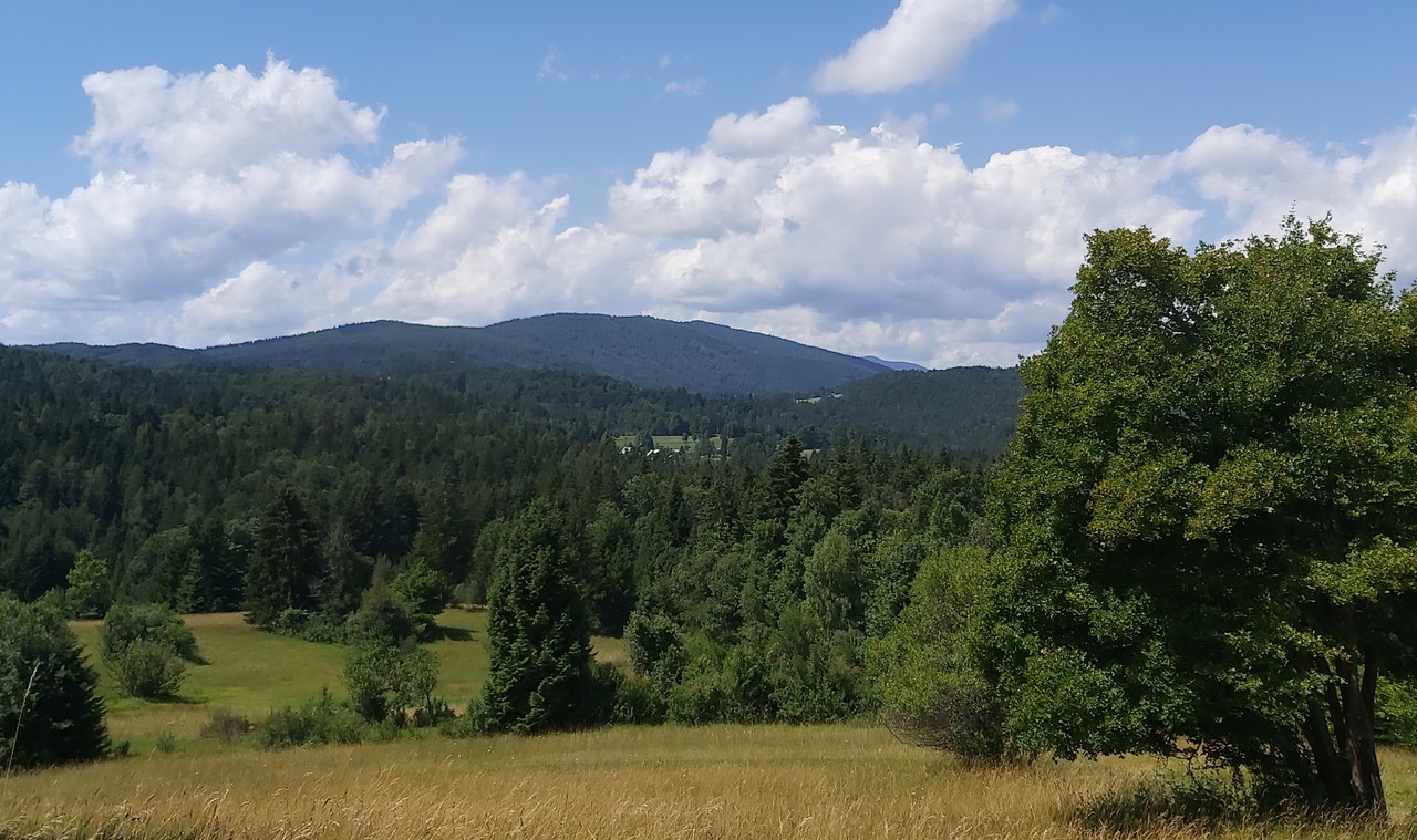 20210714-114044-c.jpg