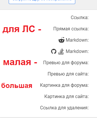 Opera Снимок_2024-12-08_201552_postimg.cc