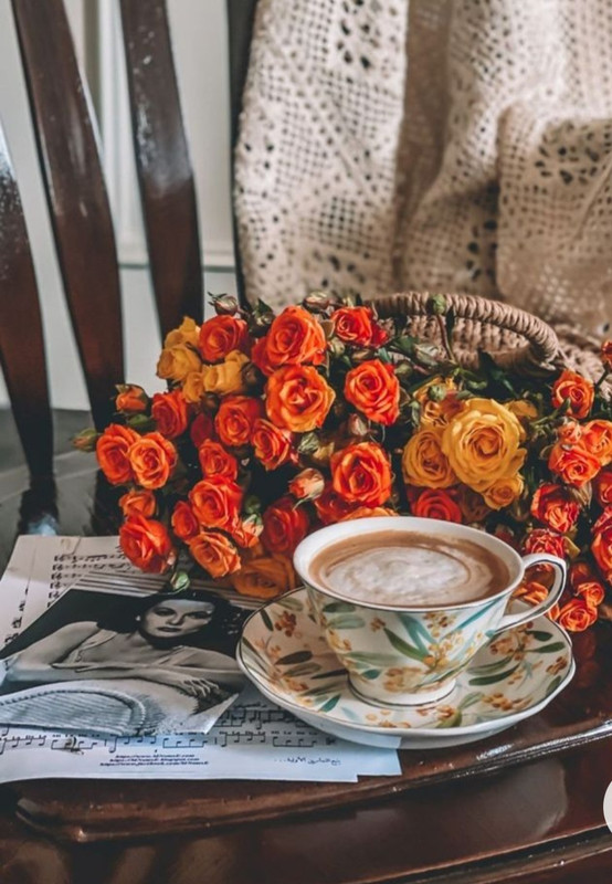 Screenshot_20230211_150911_Chrome