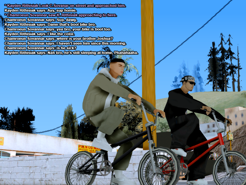 BIKESOVA.png