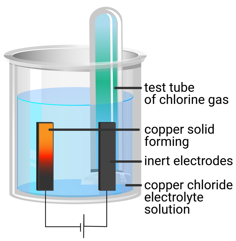 a student makes a hypothesis when different salt solutions