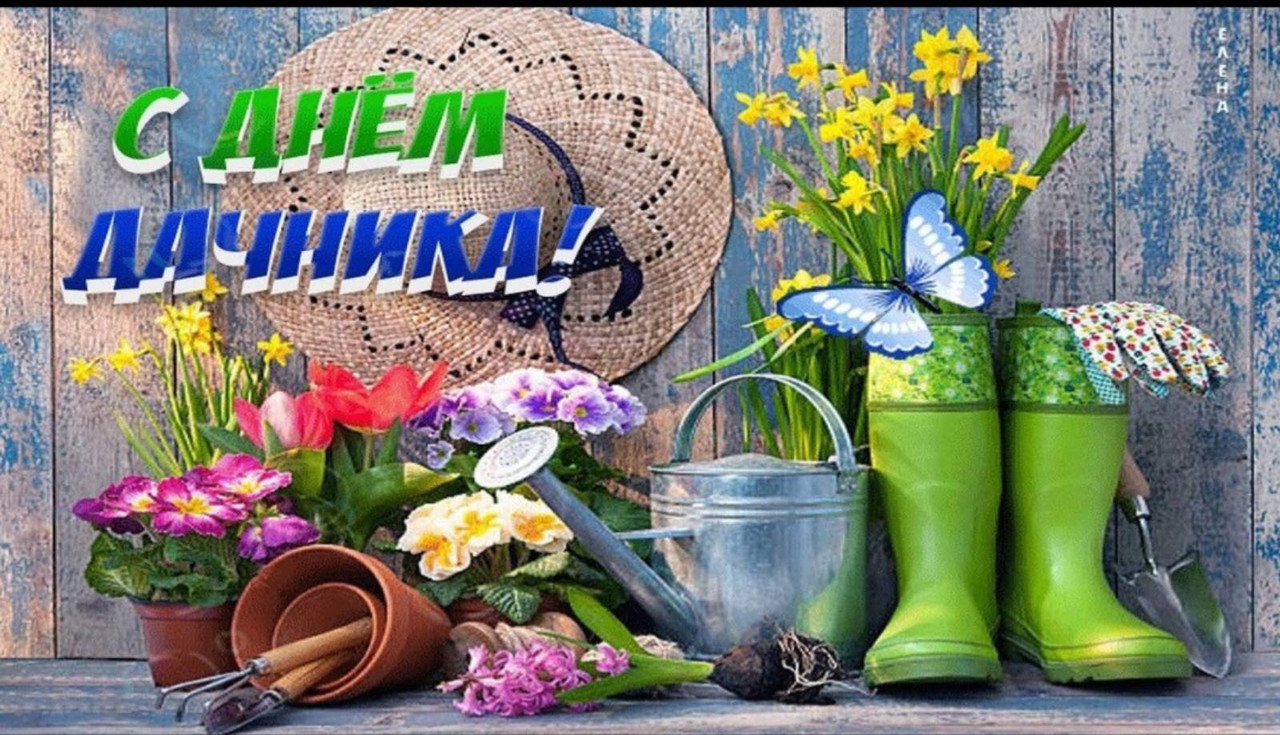 С днем рождения дачник