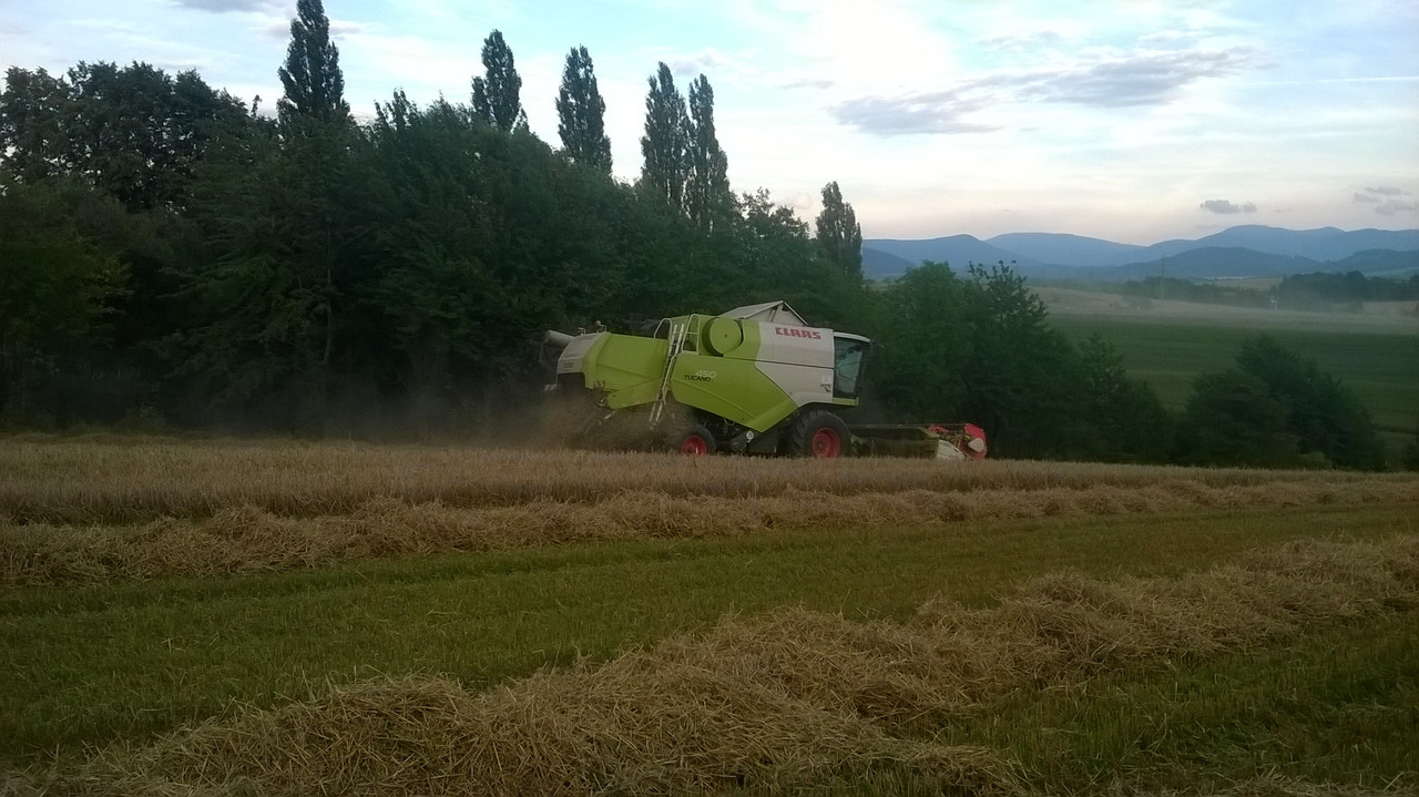 WP_20160804_19_23_26_Pro