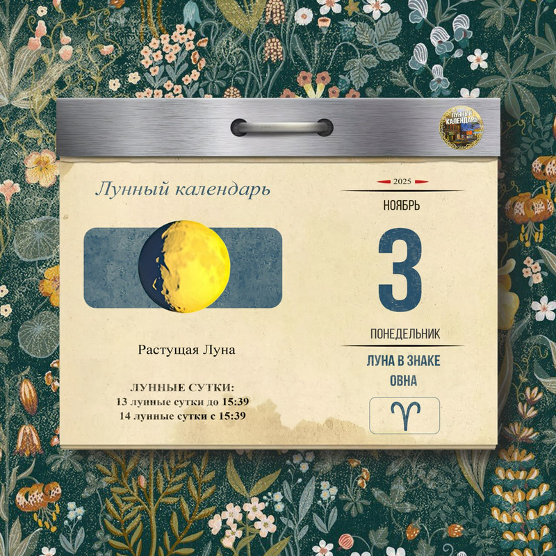 [Изображение: photo-2025-11-02-05-38-28.jpg]