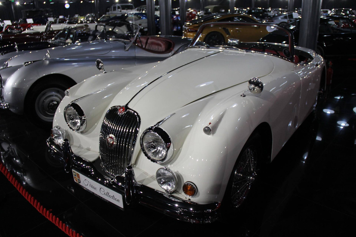 41859298_2151842051506533_2614449728124878848_o