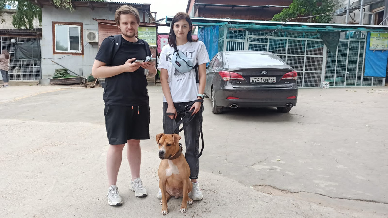 89E4DD82-2A85-46DC-93A4-58212B0AB6FE