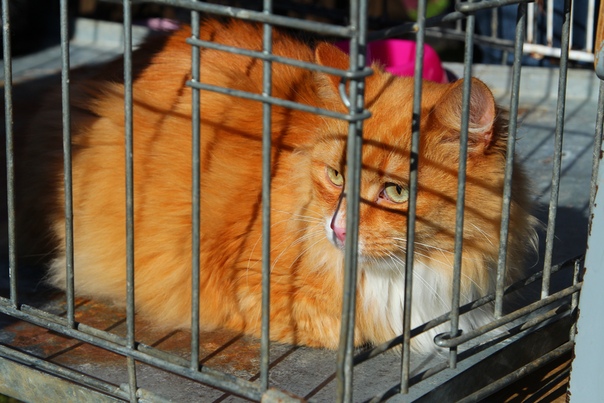 1147DDDD-47FB-4860-AFED-D201271283FE