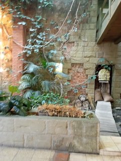 IMG-20221106-104410