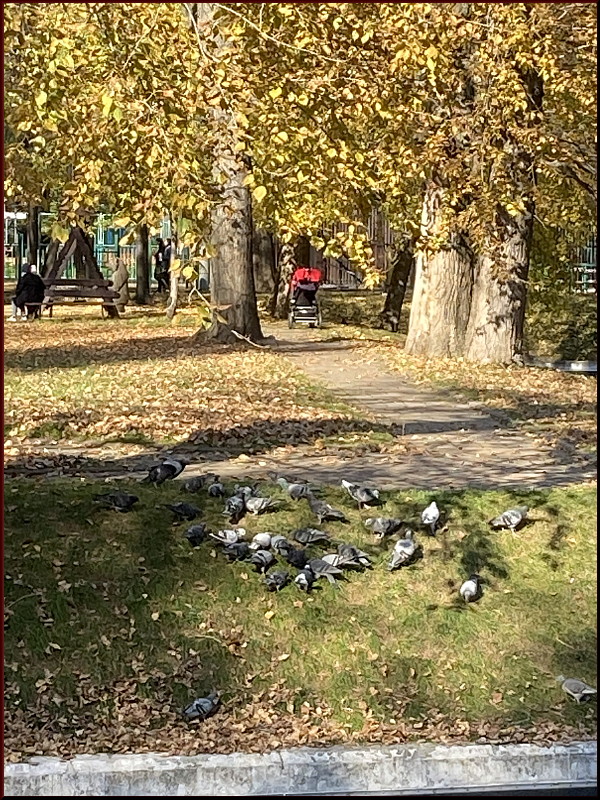 https://i.postimg.cc/hGPDcL7j/16.jpg
