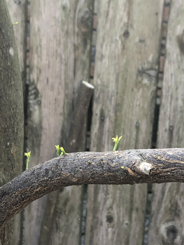 6AF0B724-85EE-4B46-8BBC-CC1DB36356F5