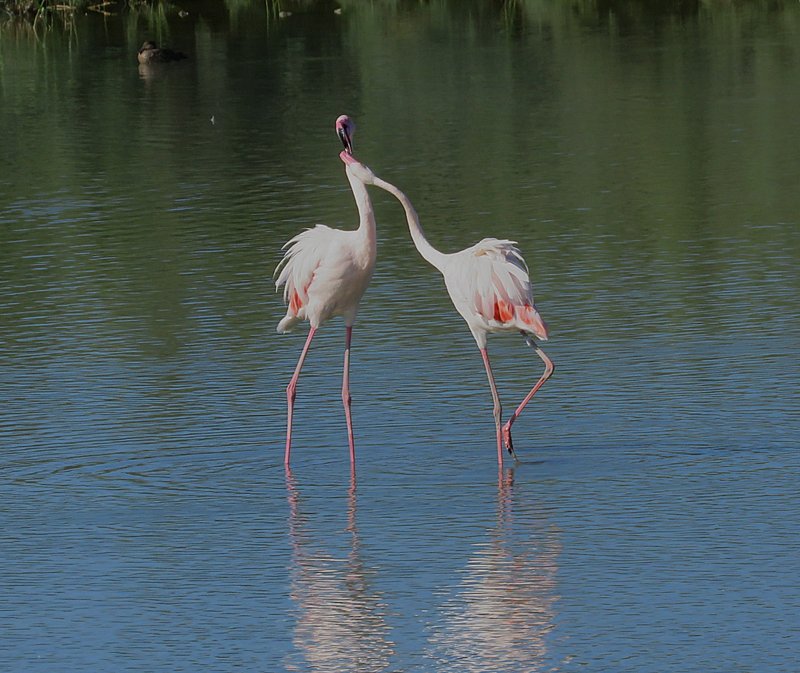 WhatsApp Image 2025-10-07 at 20.02.05_fddda53e