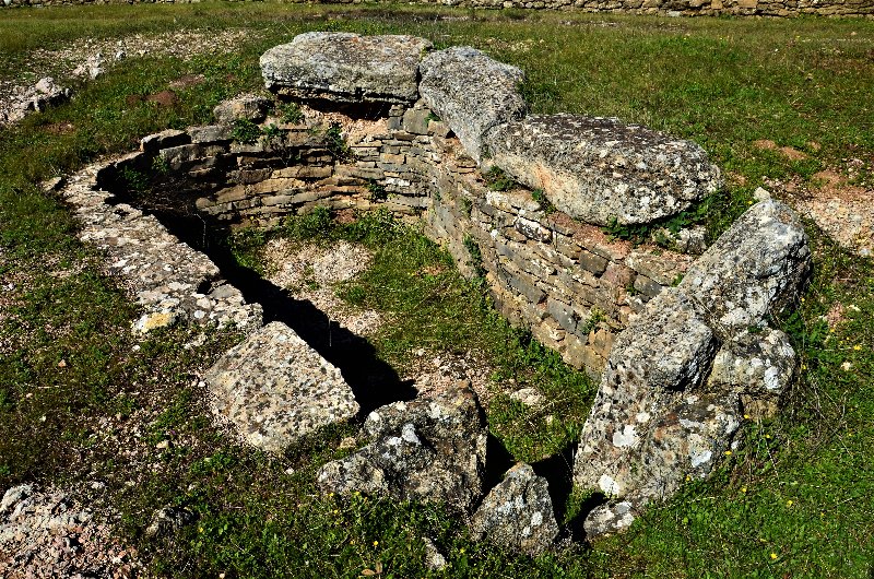 CADIZ Y SUS PUEBLOS-2017 - Blogs de España - ALCALA DEL VALLE-7-3-2017-CADIZ (45)