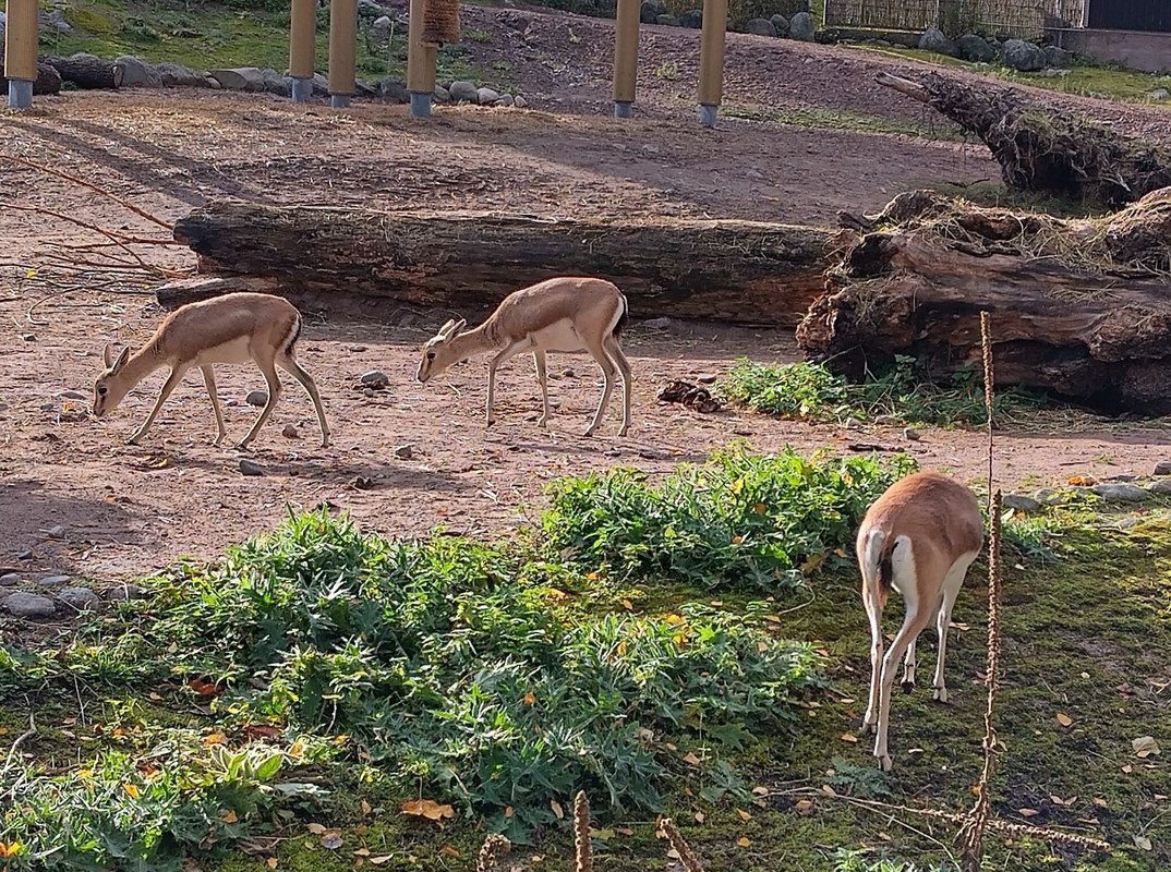 558922546_10231724418066663_2173518277529973264_n