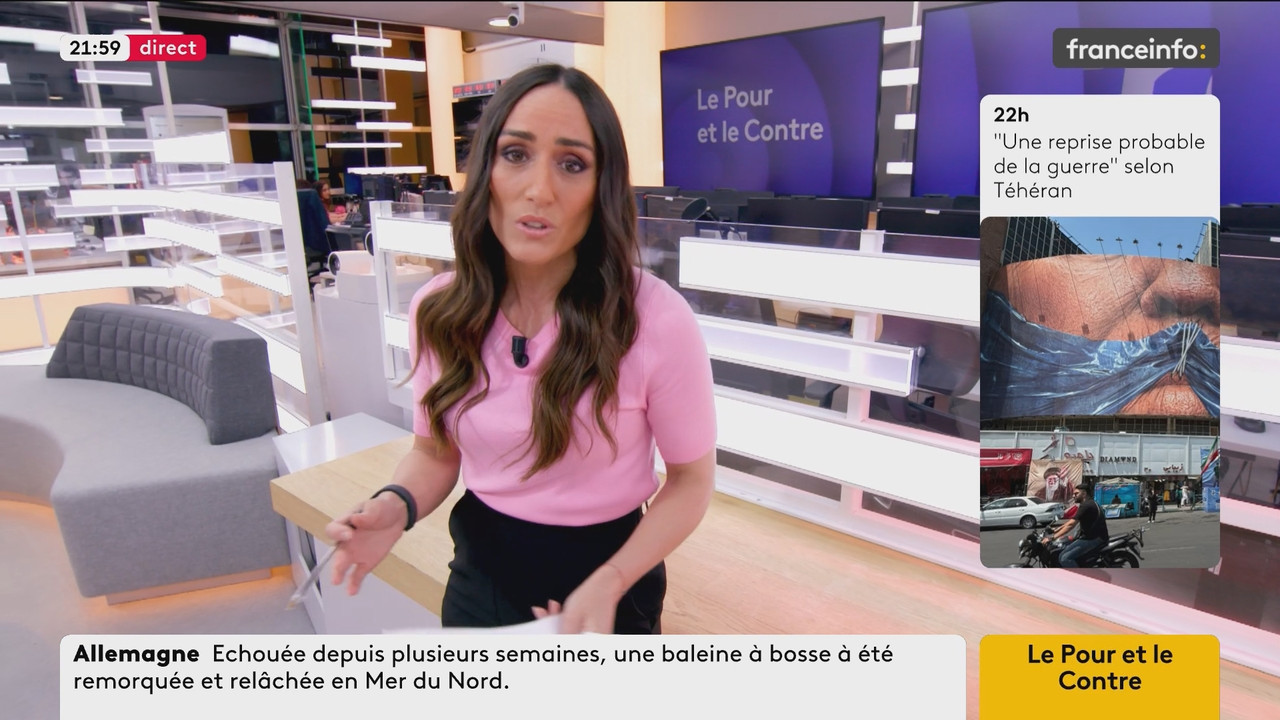Le Pour et le Contre (Franceinfo) 2026 05 02 20 54 55 ts snapshot 00 06 28 542