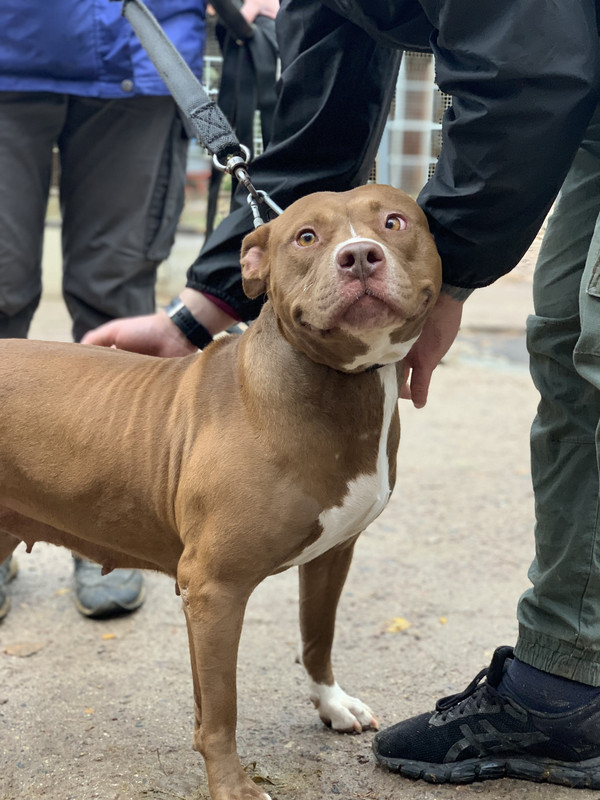 7876DC7A-6981-4D88-B0F7-F2AA48B80A3B