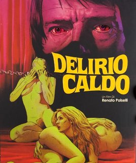 Delirio caldo (1972) .mkv FullHD 1080p HEVC x265 AC3 ITA-ENG