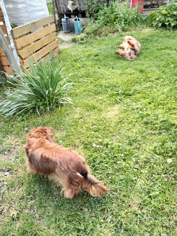 [Image: IMG-20230429-171228.jpg]