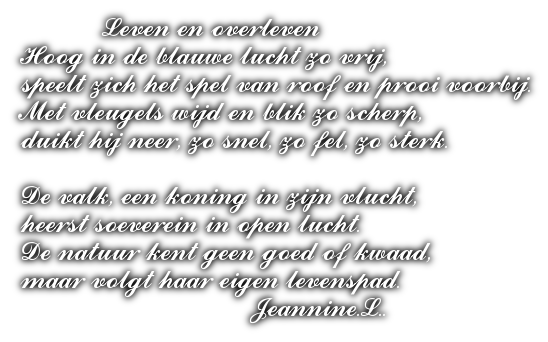 cooltext503399692726771