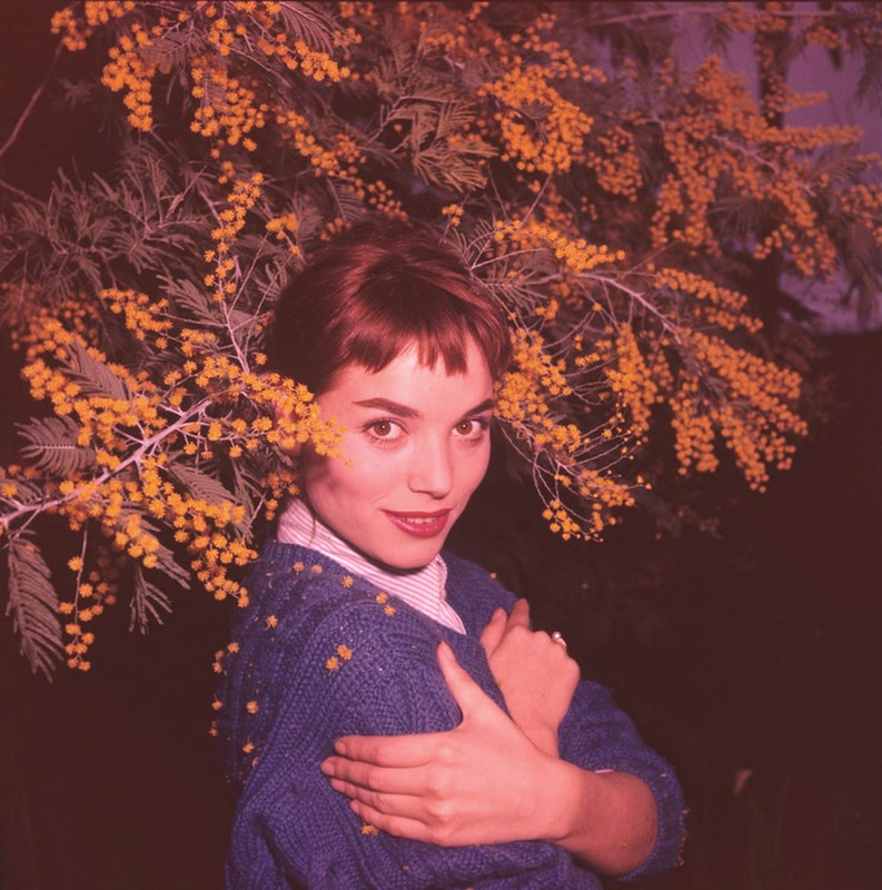 elsa_martinelli_d83