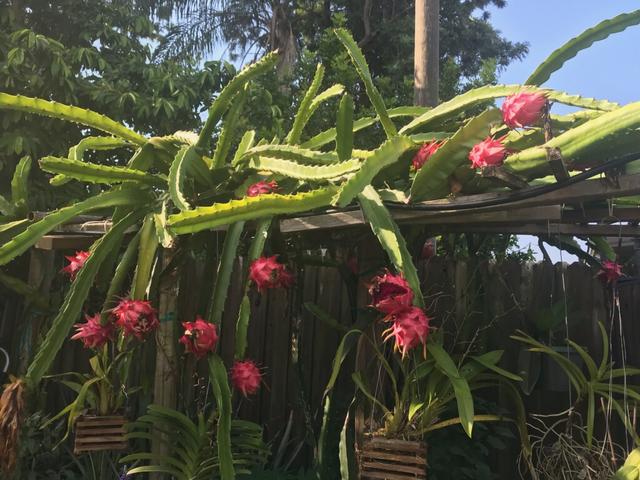 [Image: imagejpeg-0-98.jpg]