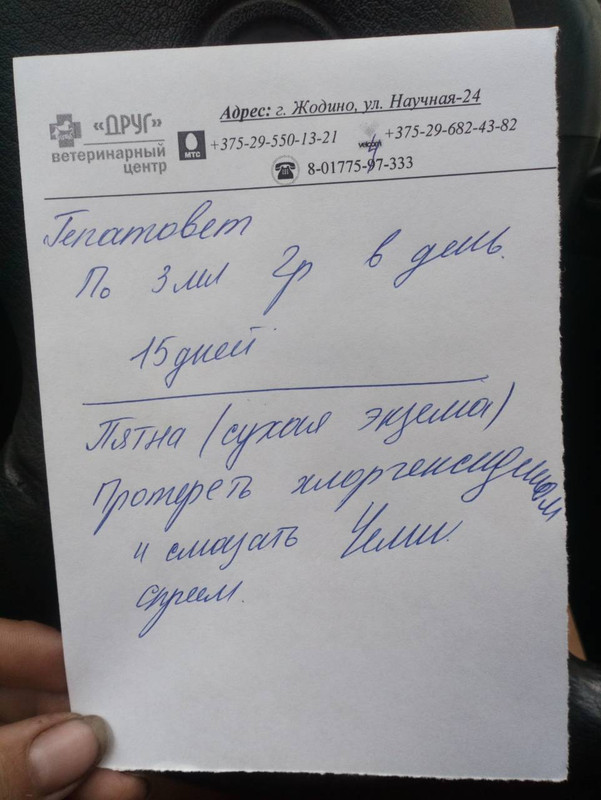 фрида назначения