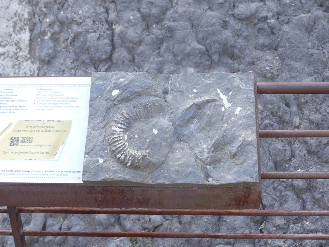 19 aout Col aiguebelette Serre Pancon Clus de Barles Dalle aux Amonites (43)